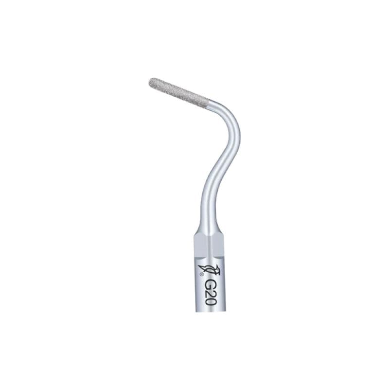 Woodpecker Cavity Preparation Tip G20
