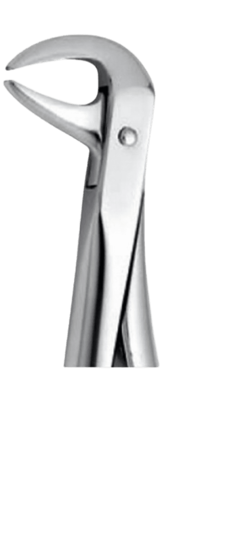 Forceps Lower Incisors And Premolars