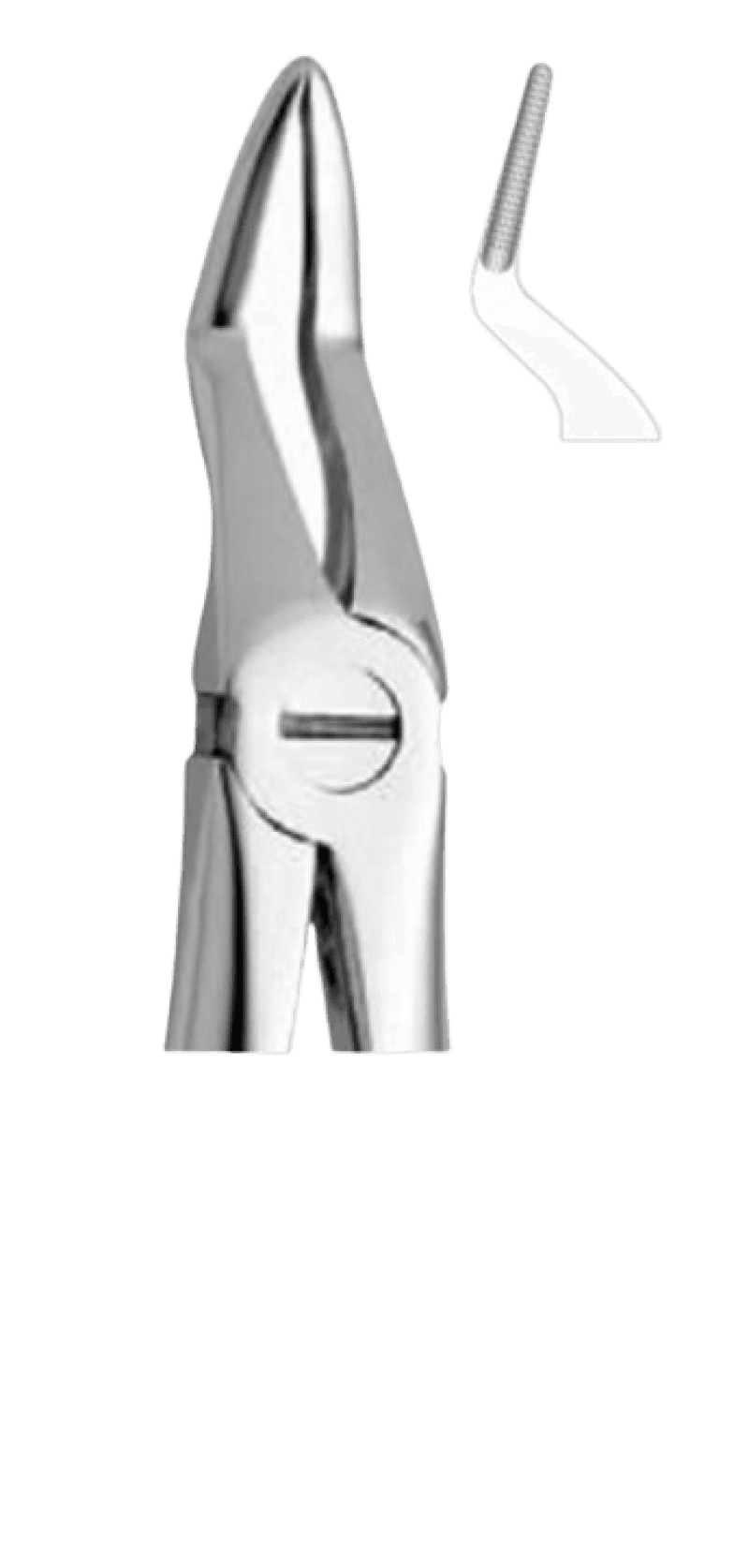 Forceps Upper Roots