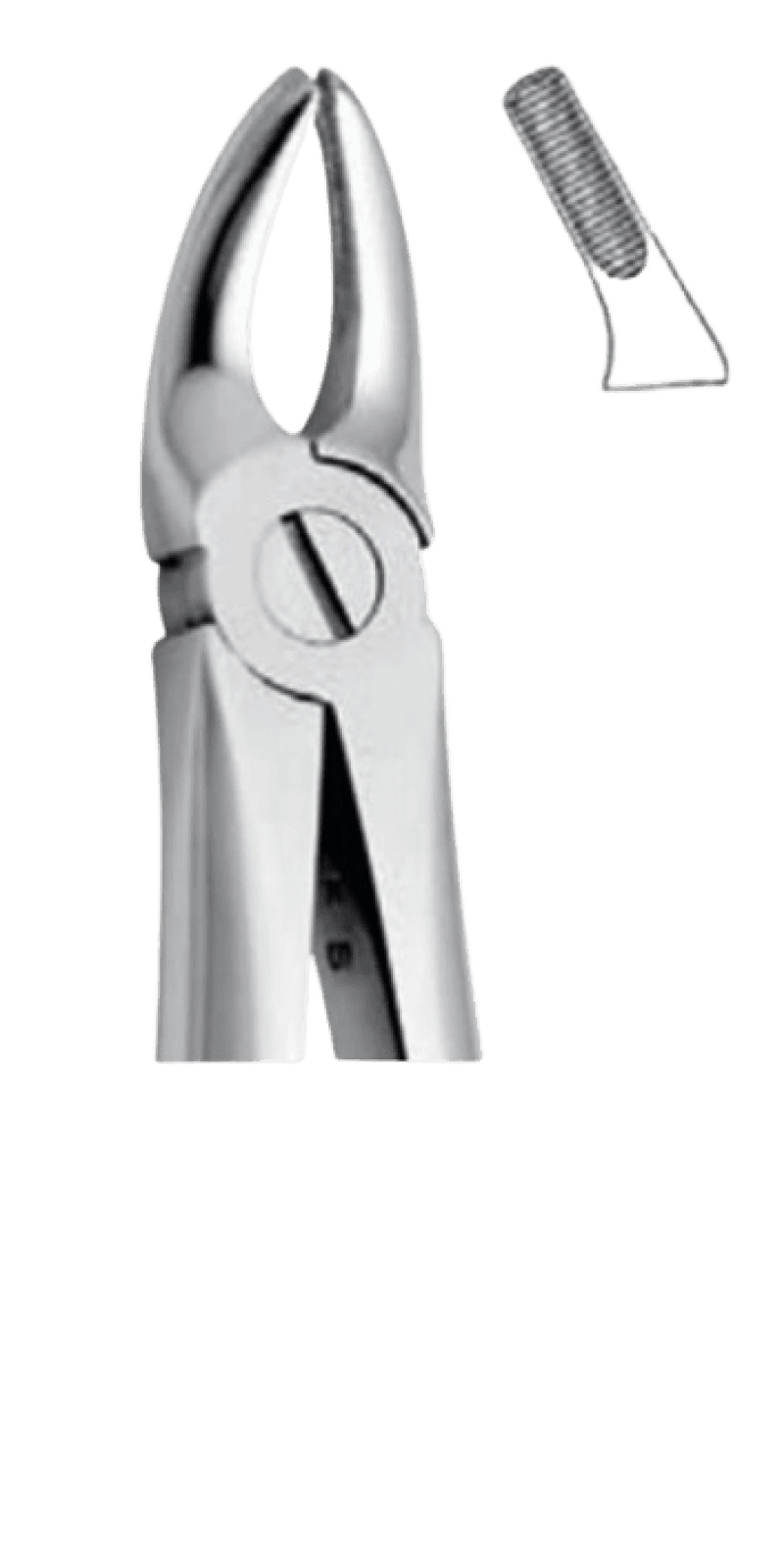 Forceps Upper Premolars