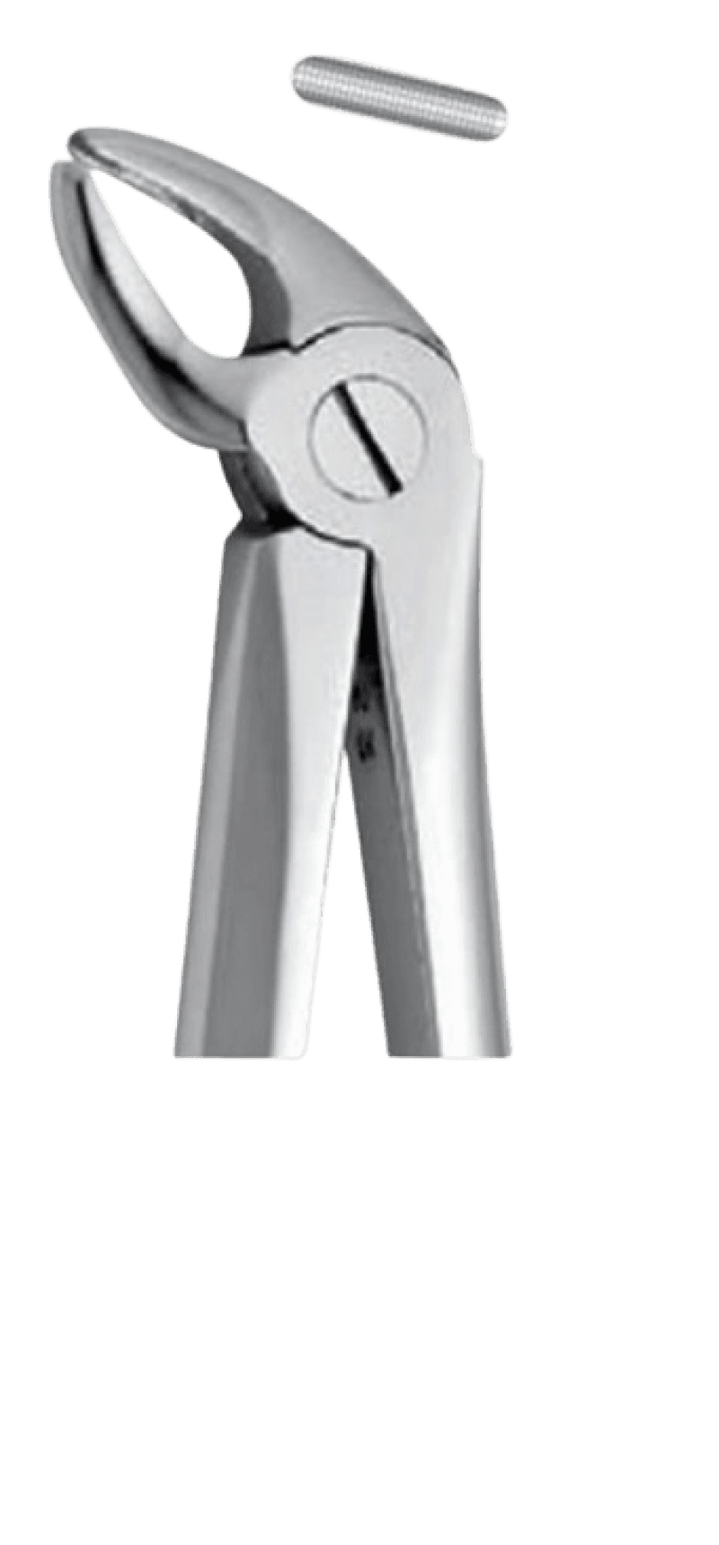 Forceps Lower Incisors And Canines