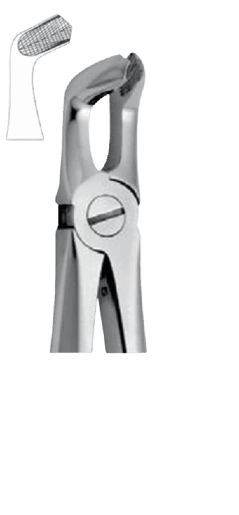 Forceps Lower Third Molars And Lower Wisdoms Either Side