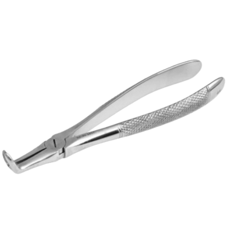 Forceps Lower Root
