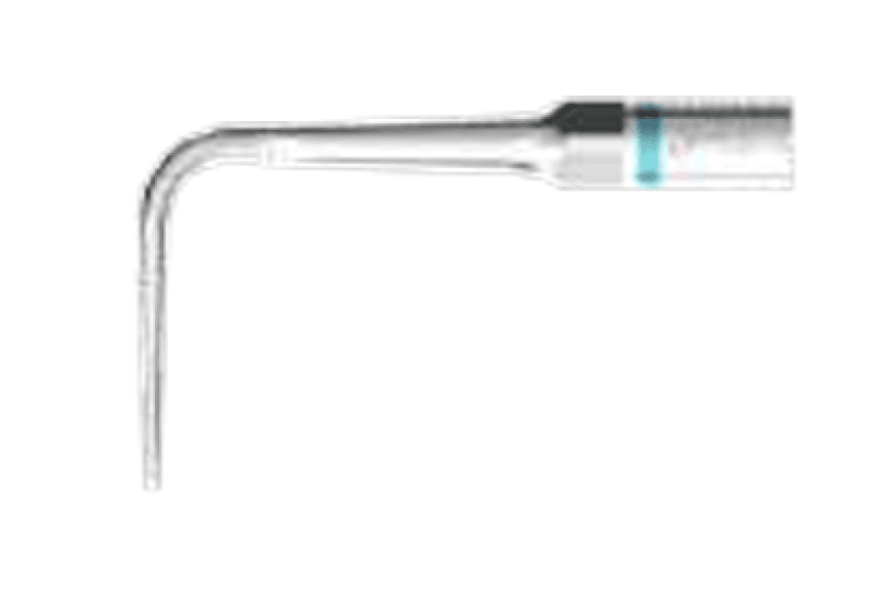 P53L - S Tip