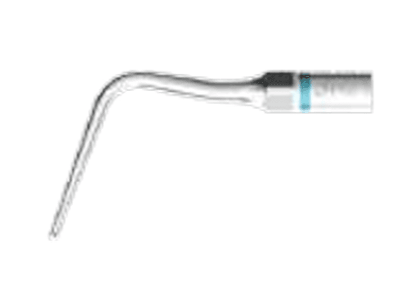 P56 - S