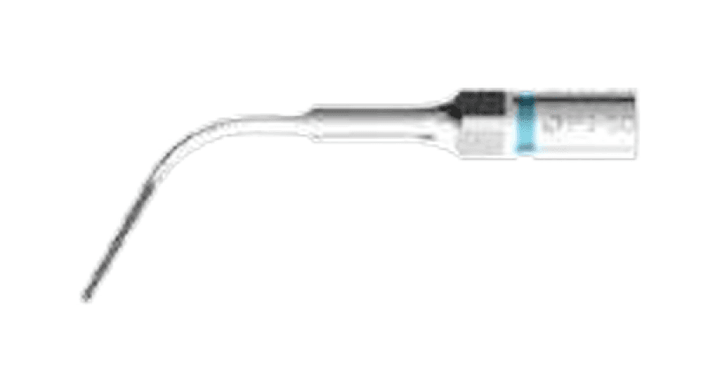 P3 - SD Tip