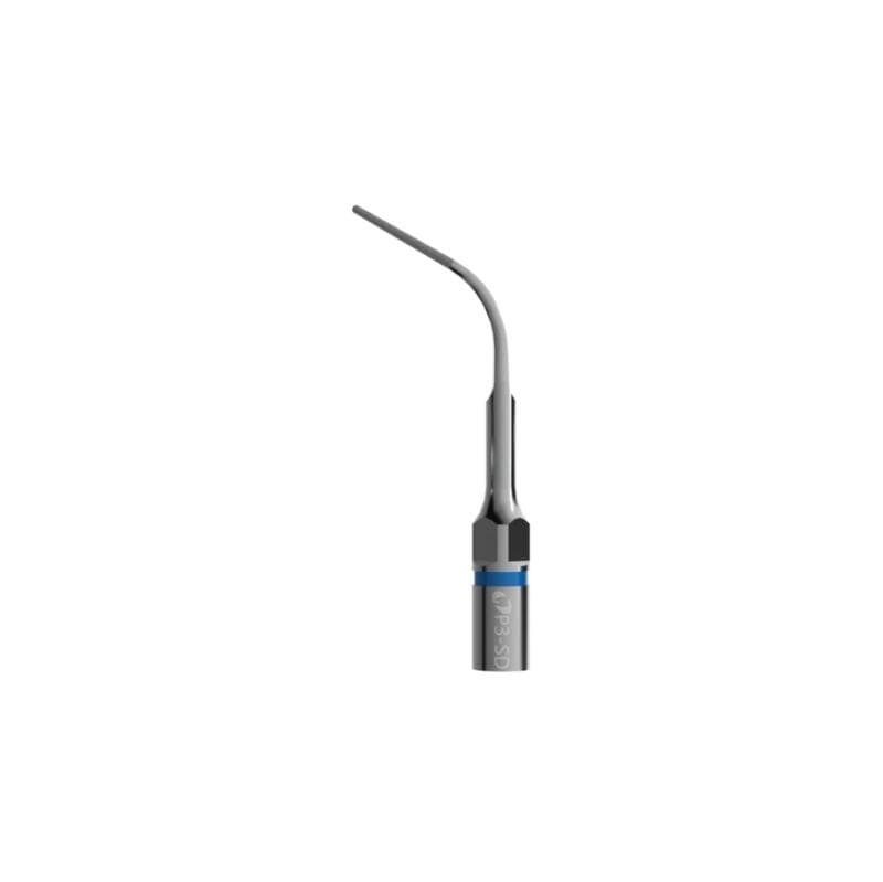 P3 - SD Tip