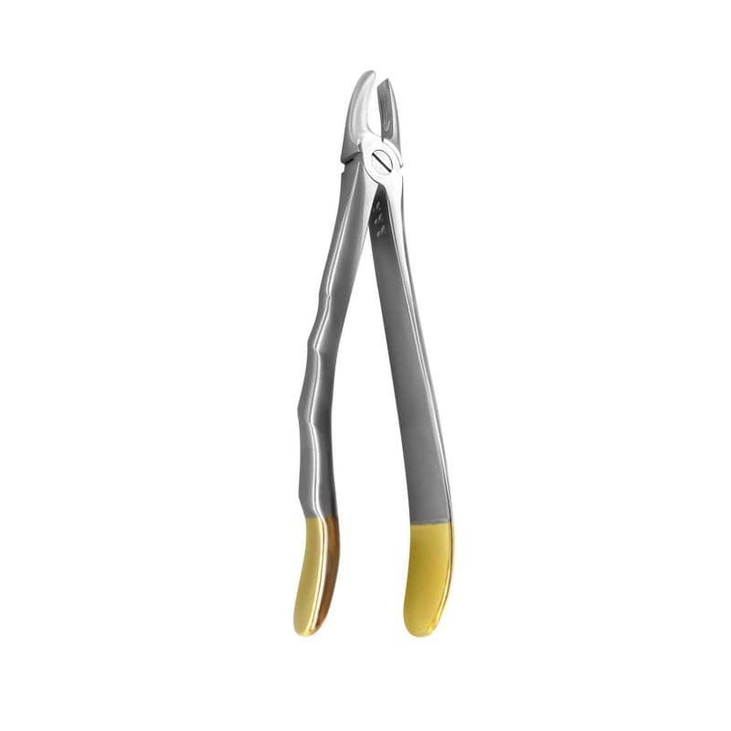Forceps For Upper Laterals And Canines TS-1-002