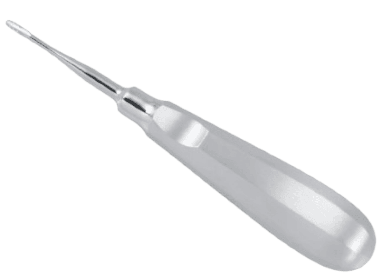 Root Elevator Serrated - In