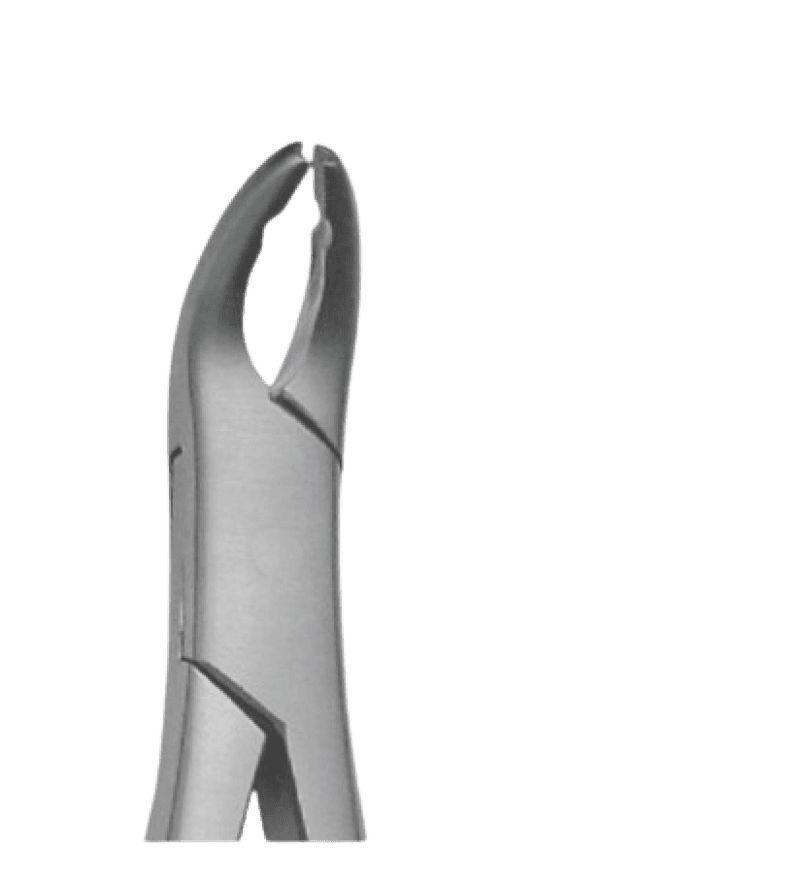 Pedodontics Tooth Forceps Upper Molars