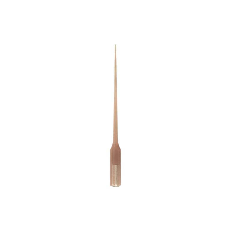 Woodpecker Endodontic Tip E74