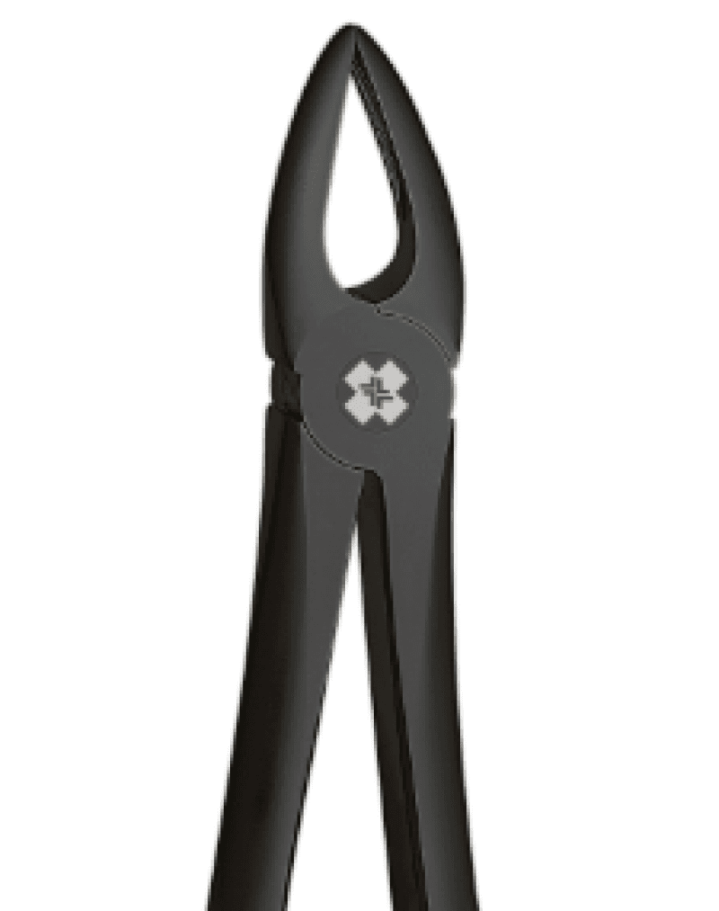 Upper Roots Black Forceps