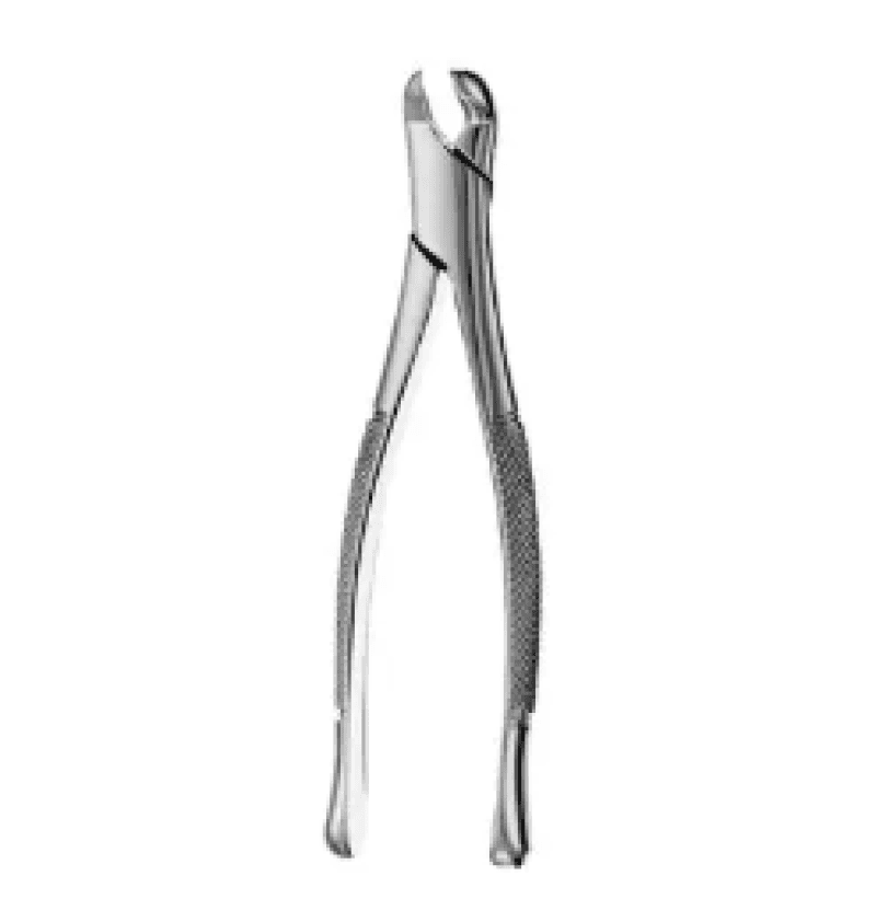 Lower Molars Black Forceps