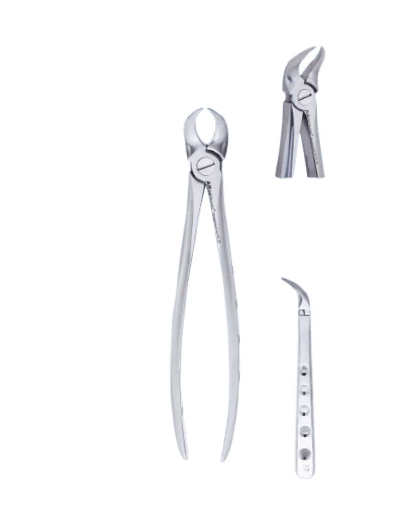 Lower Molars Cow Horn Special Forceps