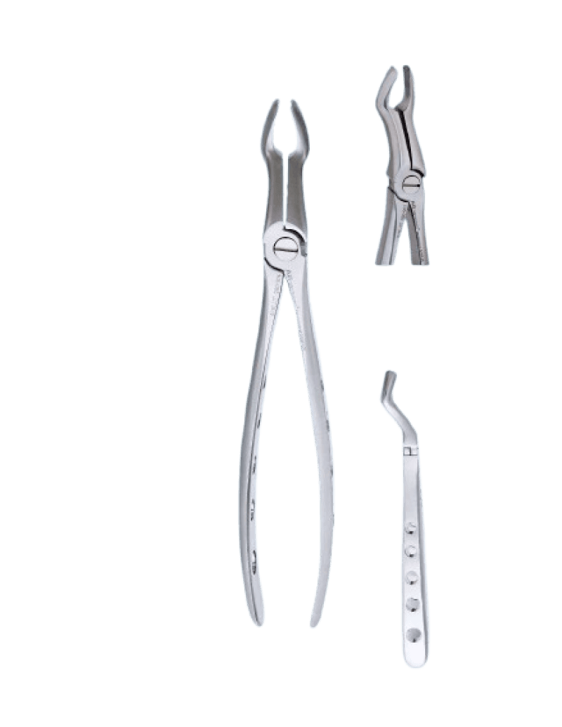 Upper Wisdoms Special Forceps