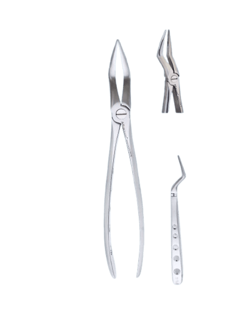 Upper Roots Special Forceps