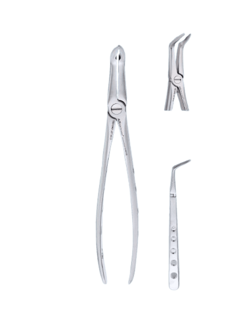 Very Fine Lower Roots Special Forceps