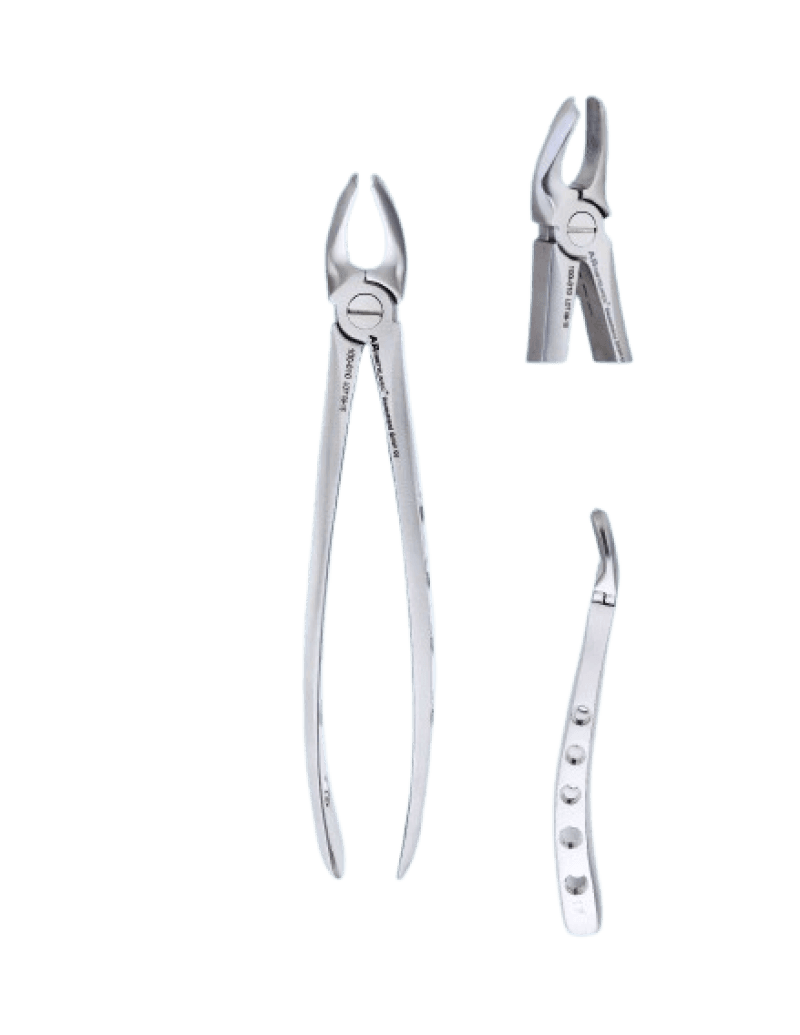 Upper Molars Right Special Forceps