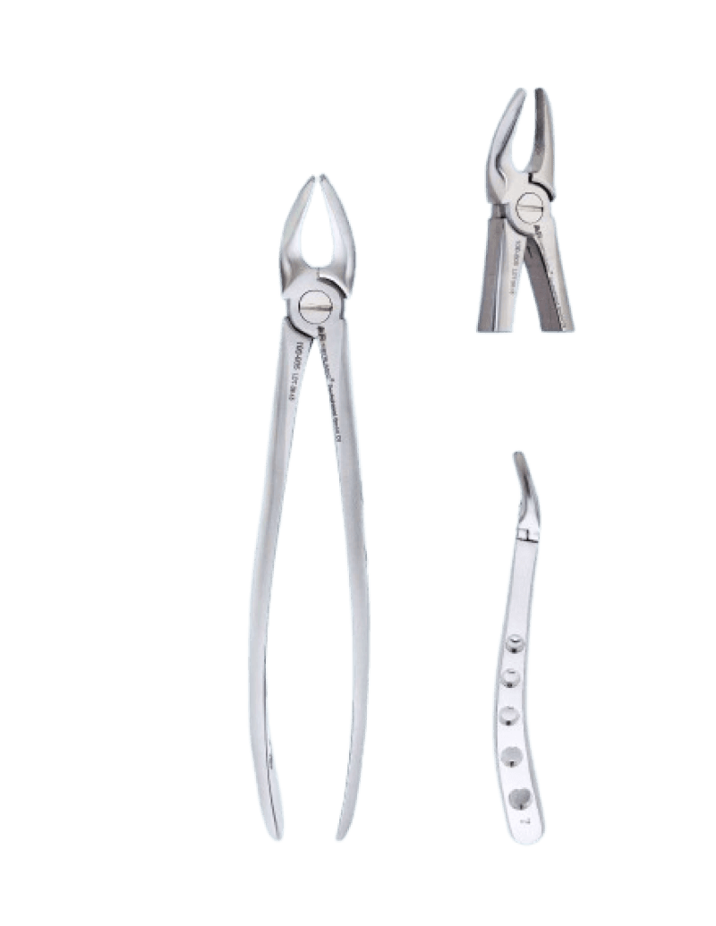 Upper Premolars Special Forceps
