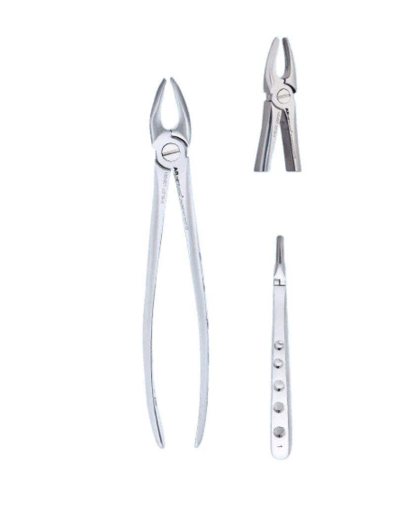 Upper Incisors And Canine Special Forceps