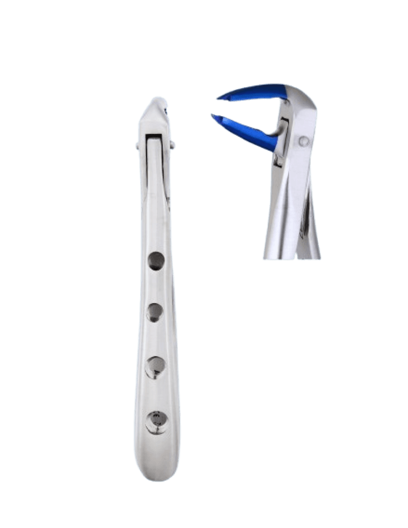 Lower Anterior And Roots Forceps Blue Plasma