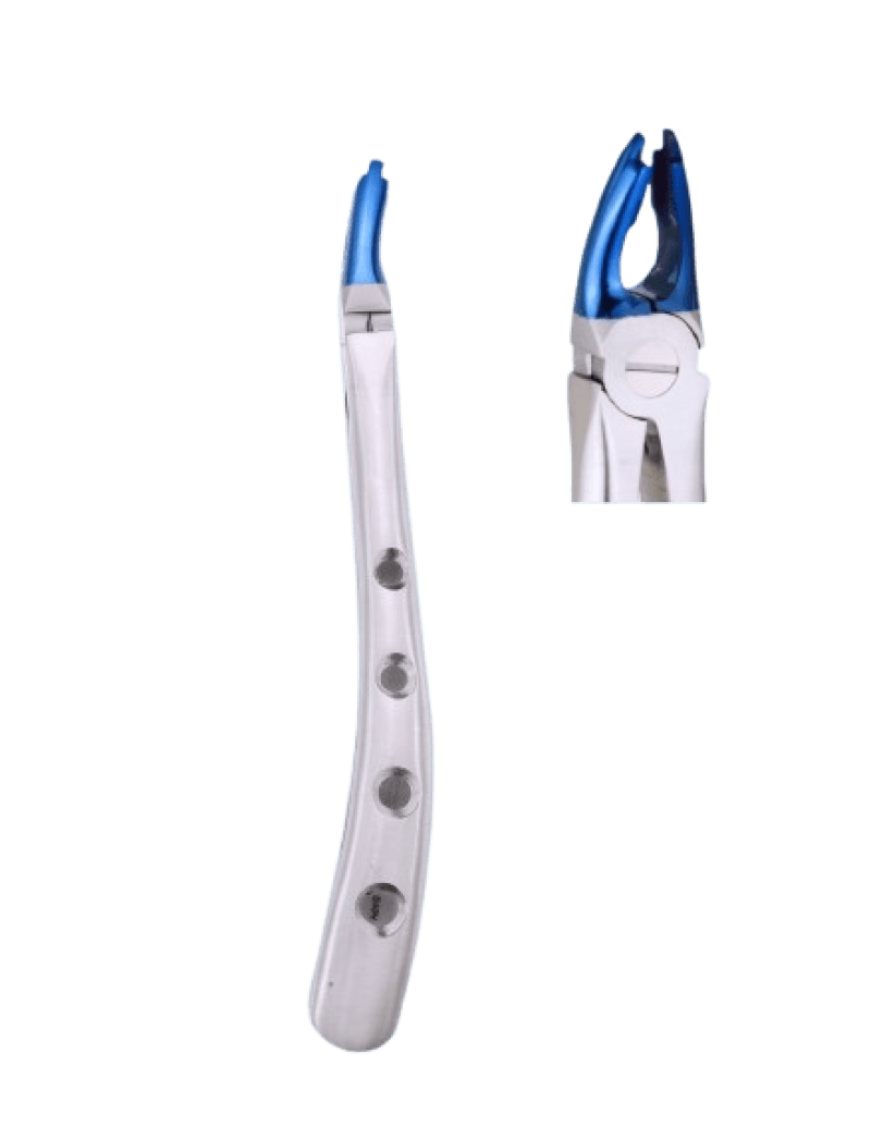 Upper Anterior And Roots Forceps Blue Plasma