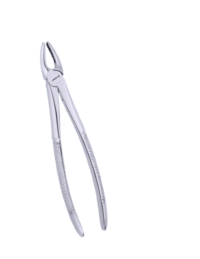 Lower Molars Cow Horn Standard Forceps
