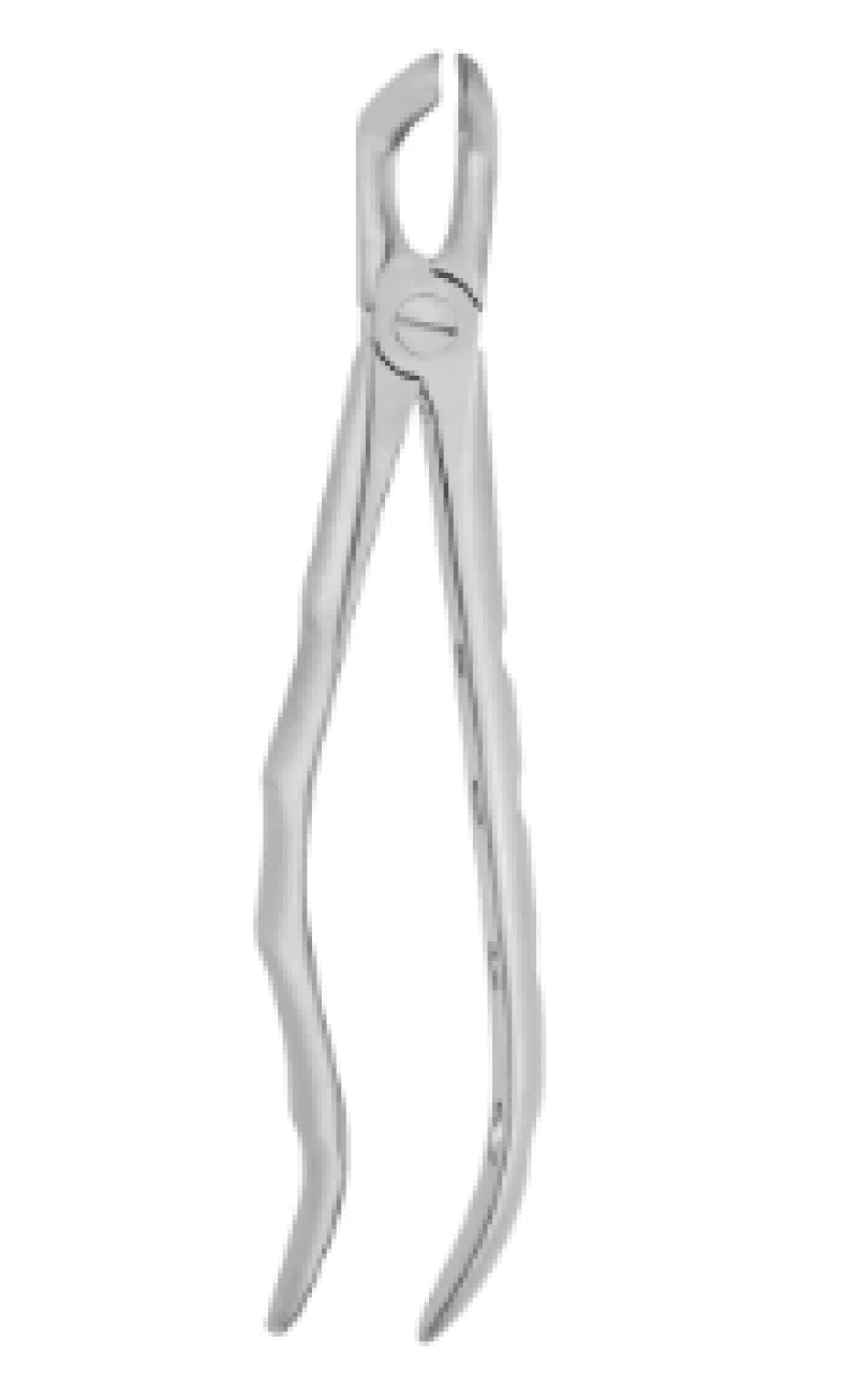 Lower Wisdom Standard Forceps