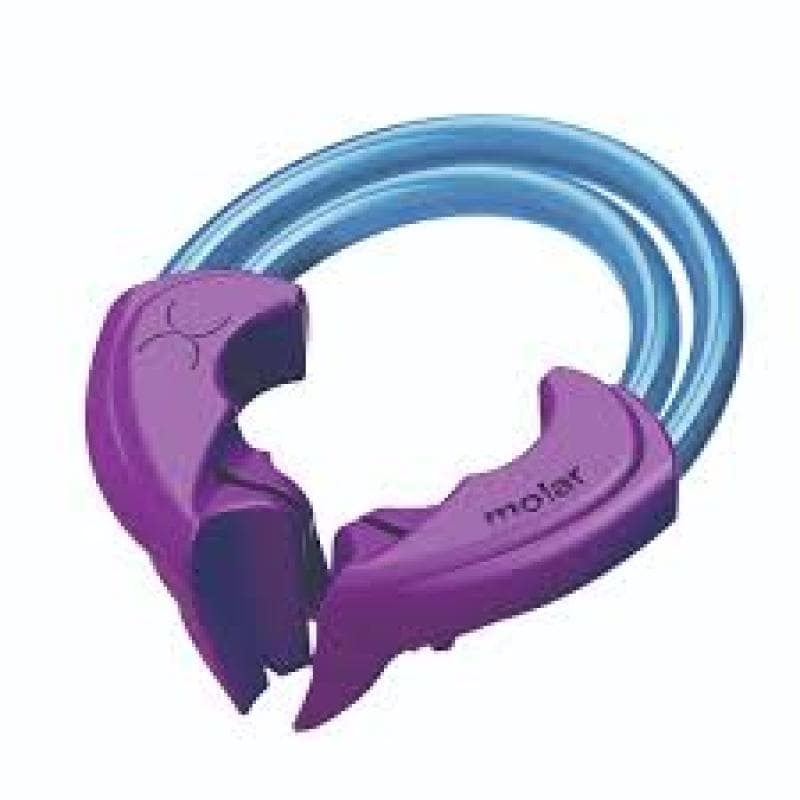 Bioclear Sectional Matrix Rings Molar Purple