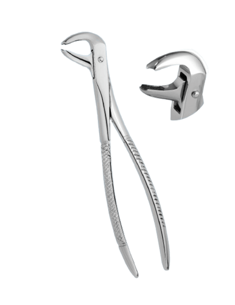 Lower Molars Standard Forceps Figure 73