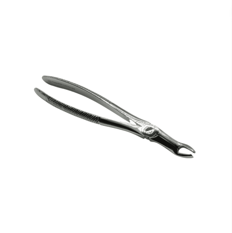 Upper Wisdom Standard Forceps
