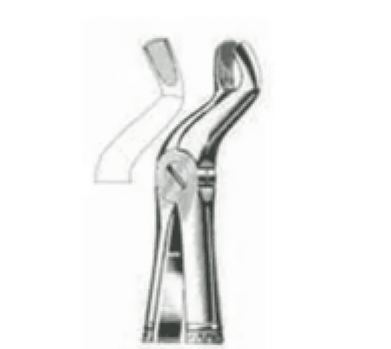Upper Wisdom Standard Forceps