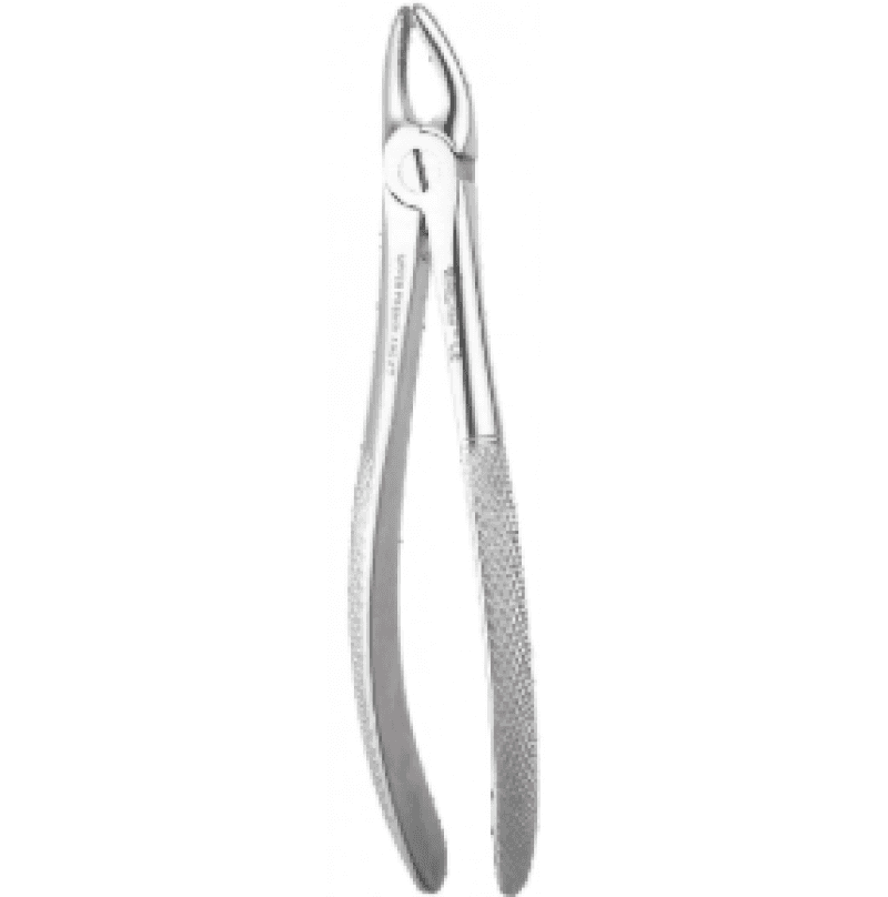 Upper Roots Standard Forceps