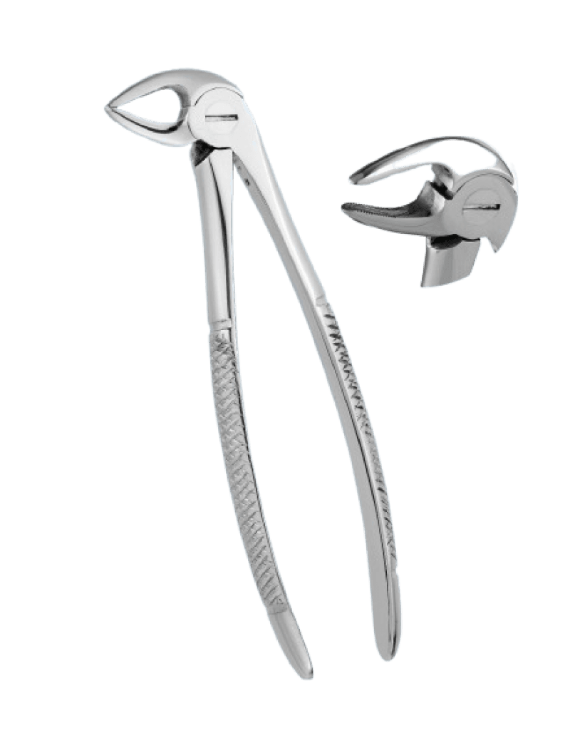Lower Roots Standard Forceps Fig. 33A