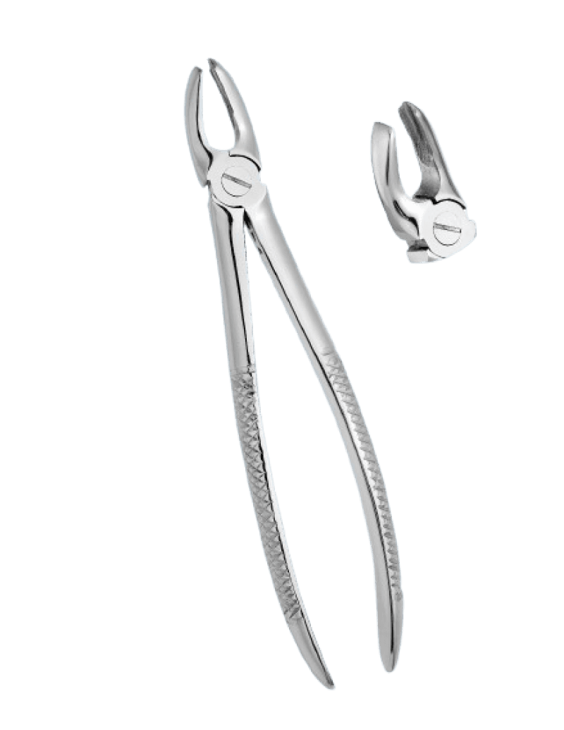 Upper Molars Left Standard Forceps
