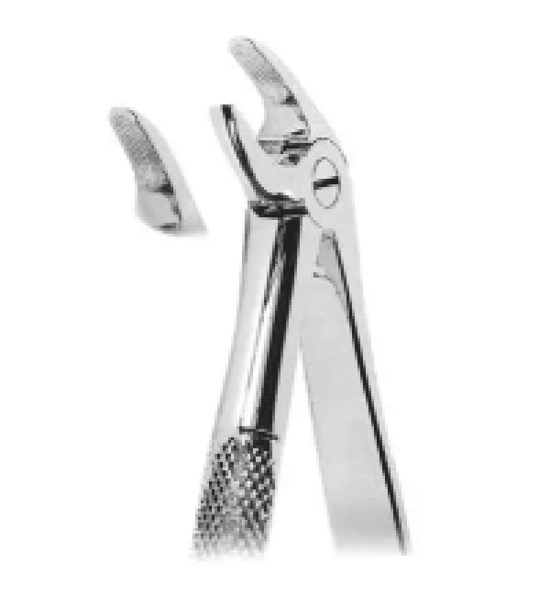 Lower Incisors And Canine Standard Forceps