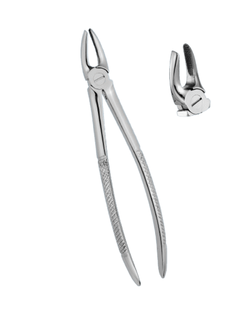 Upper Premolars Standard Forceps