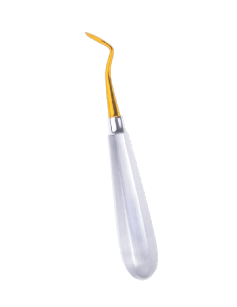 Heidbrink Root Tip Right Side 2.5mm Gold Plasma