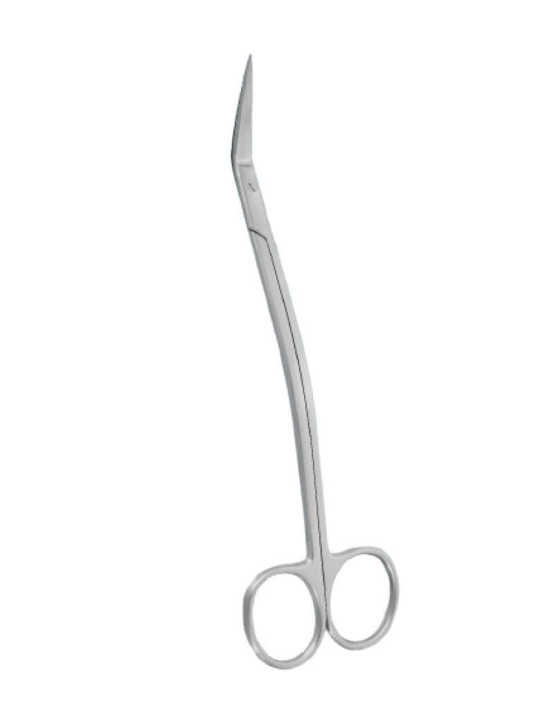 Dean Double Curved Scissors 17 cm