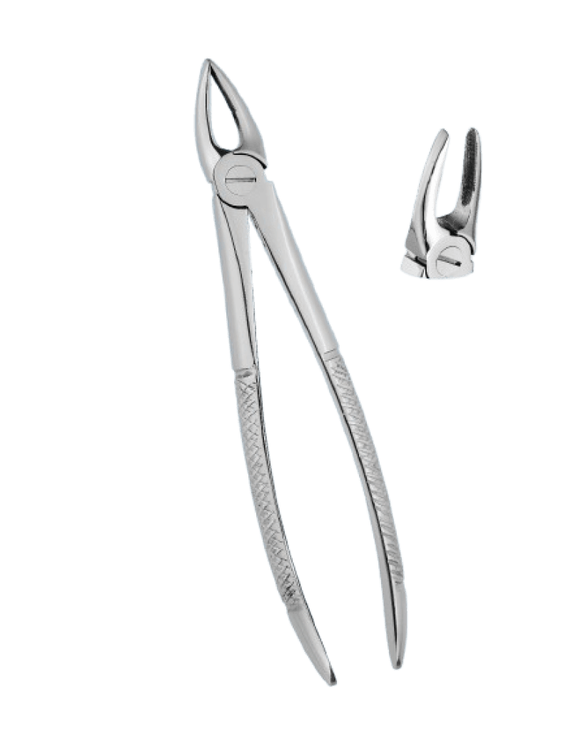 Extracting Upper Roots Forceps Standard