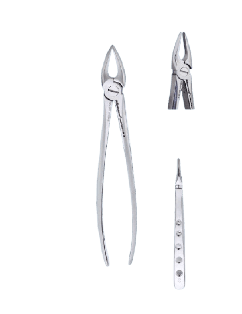 Extracting Upper Roots Forceps Special