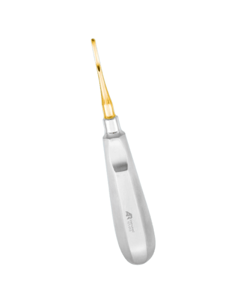 Apical 304 Straight Elevator Gold Plasma