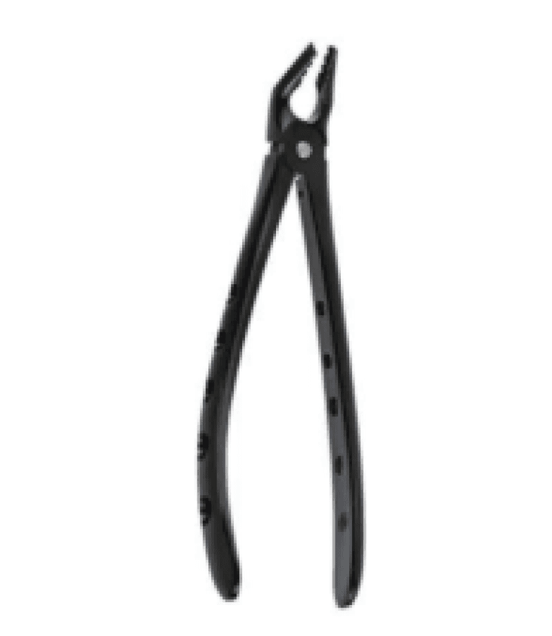 Lower Premolars Black Forceps