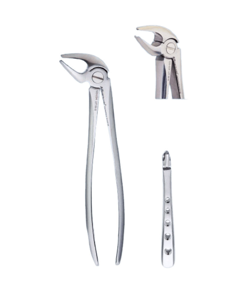 AR Instrumed - Extracting Forcep Upper Premolars 004A