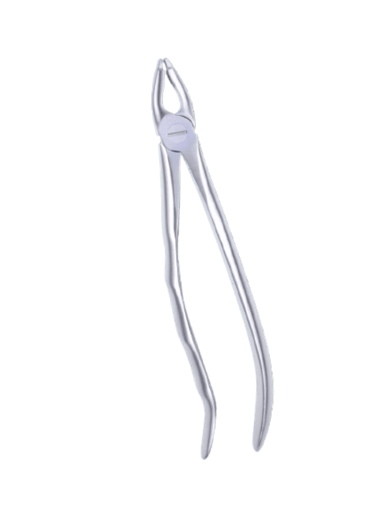 Extracting Forcep Incisors Canines Attack Deep 16.5 Cm