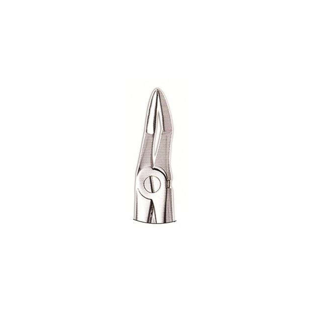 Upper Roots Forceps Bayonet
