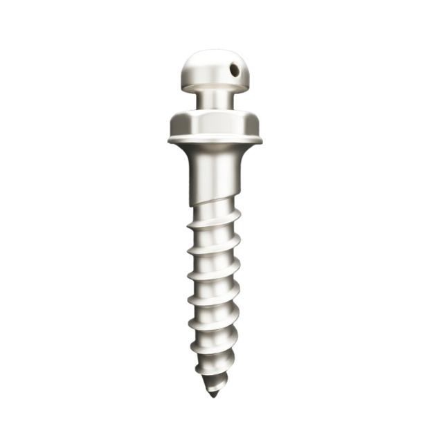 Matt Ortho Implant Mini Screw Mushroom Button Head Titanium Grade 5 - ⌀1.4 mm x 6 mm