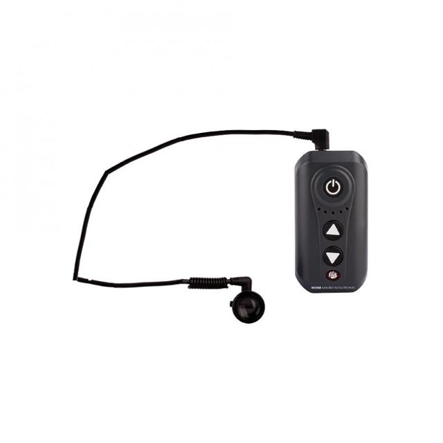 Rose Wired Light 2 Batteries