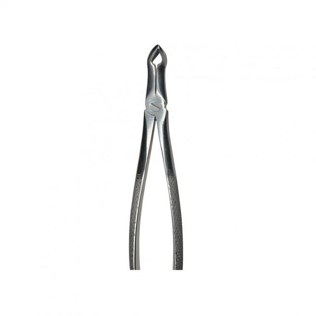 Lower Remaining Root Forceps