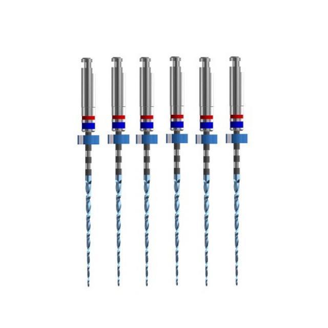 Race Evo Rotary Files #30-06 - 31 mm